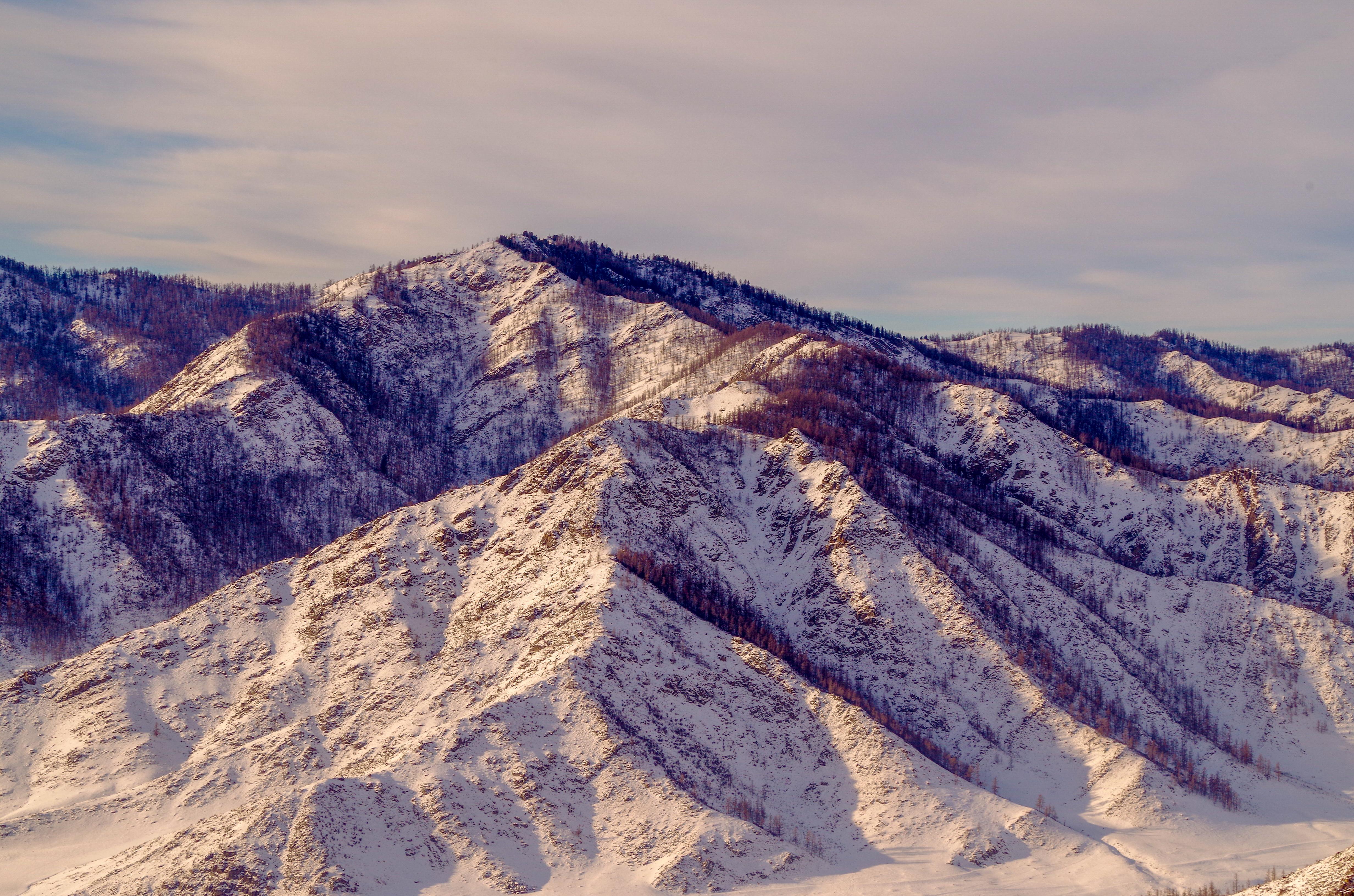 Kartka z Ałtaju (Fot. Adam Majewski).