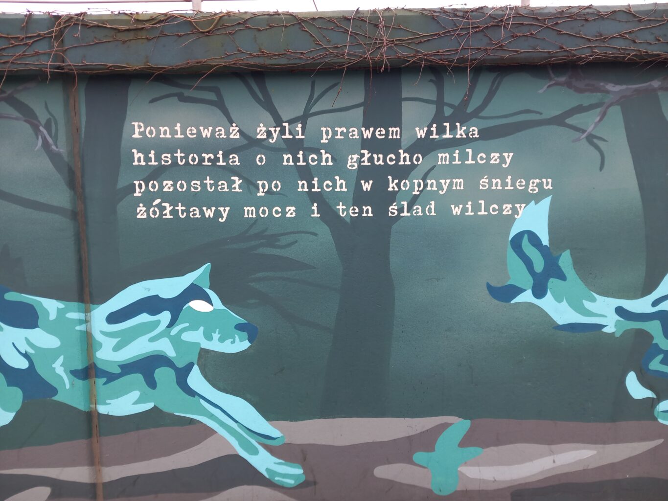 Fragment wiersza Wilki Zbigniewa Herberta na muralu 
przy al. Żołnierzy Wyklętych w Gdańsku-Wrzeszczu
(Fot. Tomasz Neumann).