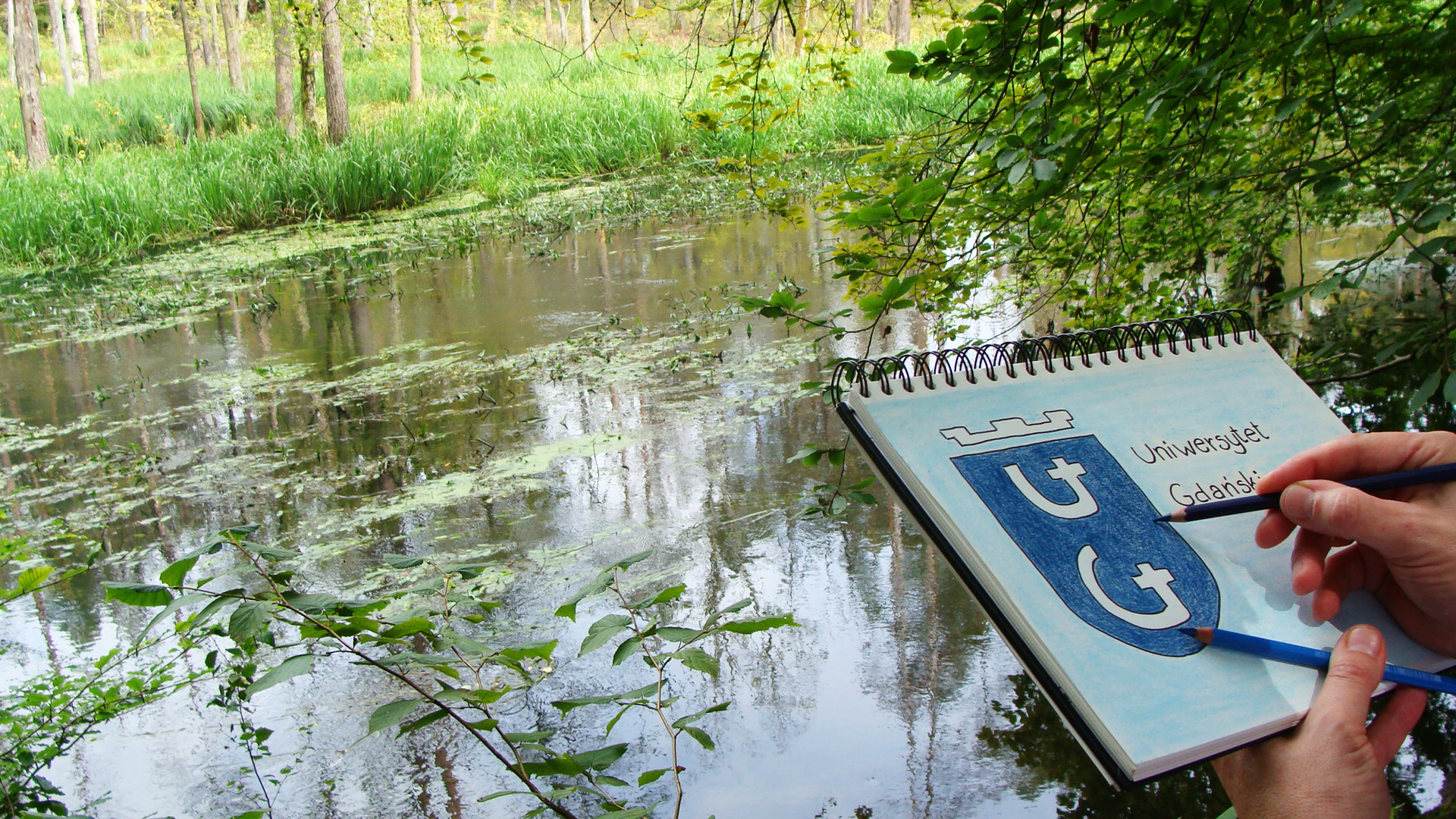 Zwycięskie zdjęcie konkursu „Uniwersytecka pocztówka z wakacji” (Fot. Katarzyna Sternicka).