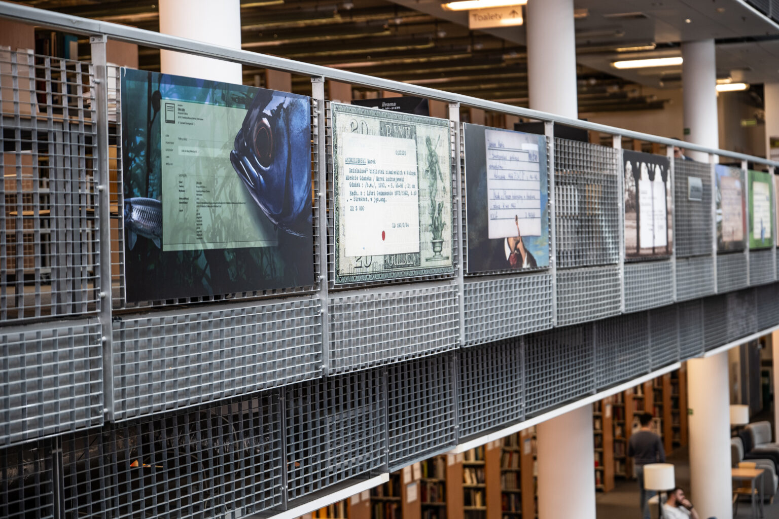 „Galeria krat” w Bibliotece Głównej UG –
surowe, metalowe przęsła, będące
idealnym tłem dla kolorowych kart
(Fot. Piotr Patalas).